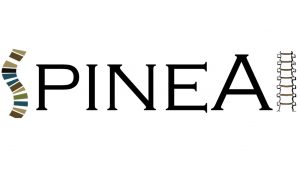 Logo del nuevo proyecto SpineAI: Plataforma Inteligente de tratamiento y seguimiento de escoliosis idiopática mediante inteligencia artificial